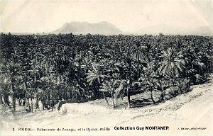 Figuig 014- Collection Montaner_2